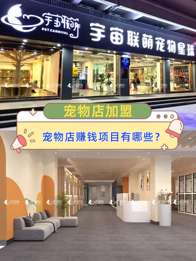 现在开宠物美容店还赚钱么？(寵物寵物店賺錢)