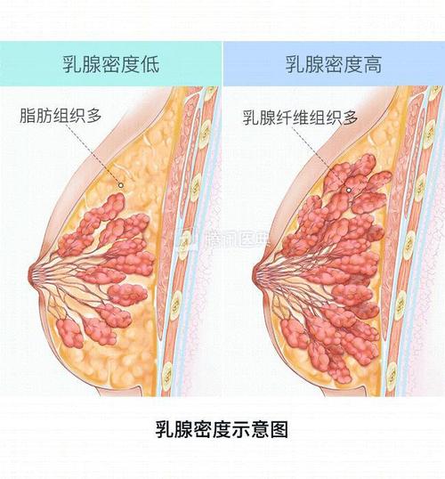 快快帮｜既能减肥又能治病_美容院的这些项目靠谱吗？(脂肪乳房胸部)