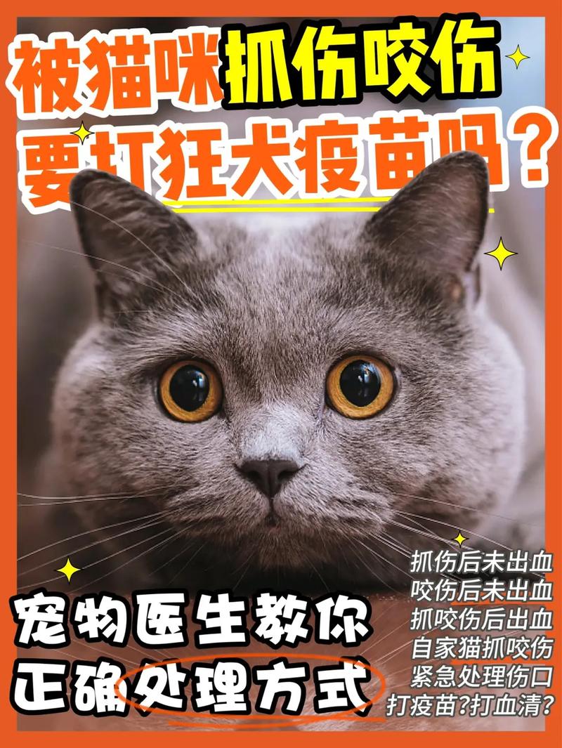 宠物店员工被猫咪咬伤 猫主人该承担治疗费吗？(女士咬傷承擔)