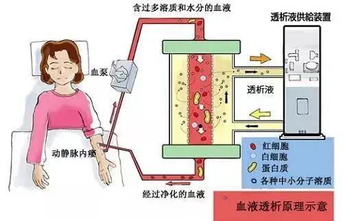 把血抽出来“洗一洗”就能美美哒？小心被收智商税(就能抽出美美)