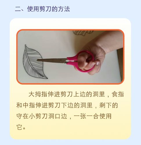 宠物美容师剪刀的正确使用方法(剪刀來福使用方法)