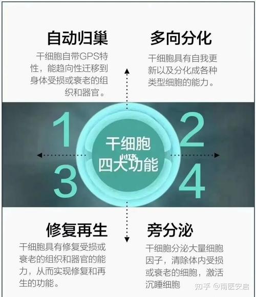 一小时花156万能年轻20岁？“干细胞抗衰”靠谱吗？(幹細胞萬元細胞)