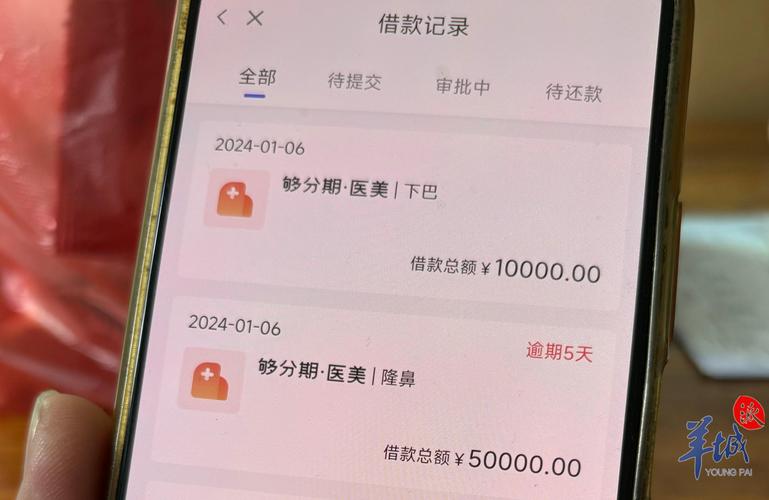 起底美容贷：免费整形_还包吃住行！两男子两省4医院涉嫌诈骗1000万元(萬元周某整形)