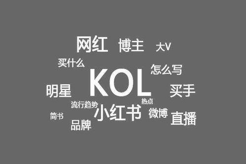 KOL是什么还没搞清_KOC就这么来了(來瞭還沒搞清)