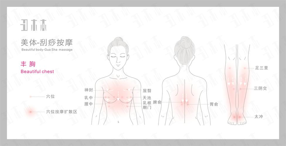 中医穴位刮痧_解决乳腺增生(乳房刮痧乳腺增生)