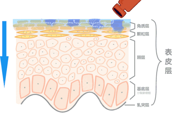 玻尿酸两强：昔日兄弟_今日互撕(尿酸生物福瑞)