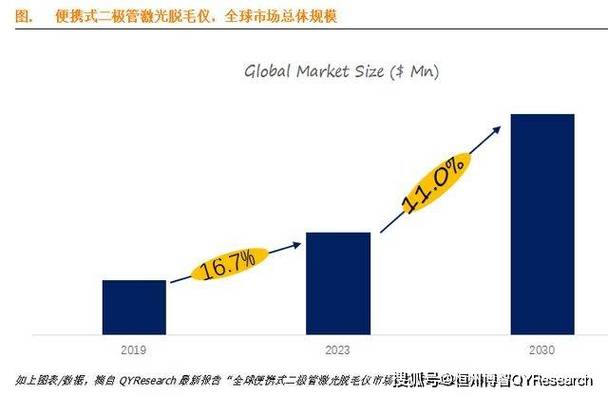 2024-2030年全球及中国脱毛手术行业现状分析及投资前景预测报告(脫毛手術市場)