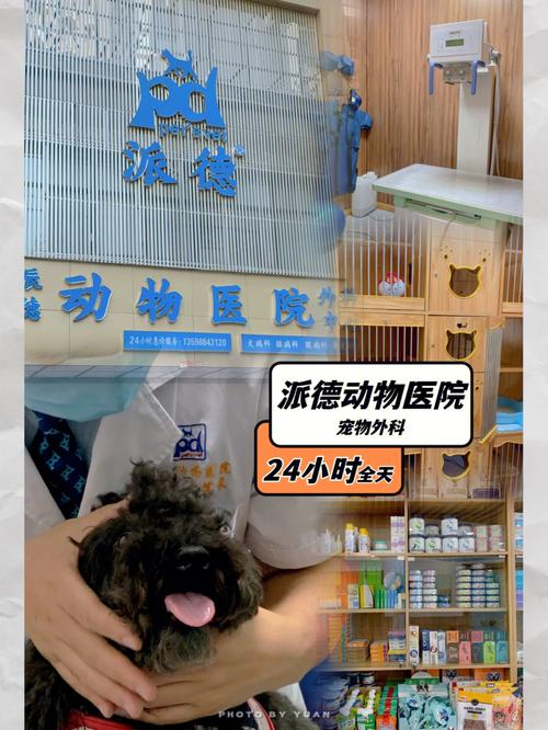 韩国宠物皮肤护理品牌NOVAPET 正式入驻多家当地宠物医院及药店(寵物藥店入駐)