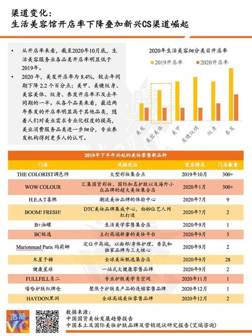 百亿规模的美容仪市场_能诞生估值10亿的黑马品牌吗？(美容品牌市場)