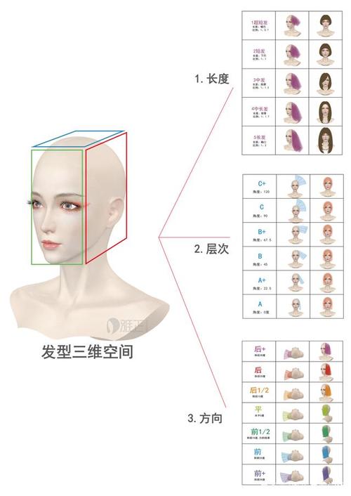 发型师剪发基础教学_初学者必学理论(頭發層次紋理)