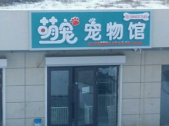 2022年_宠物店好名字在此_拿走不谢(寵物寵物店店名)