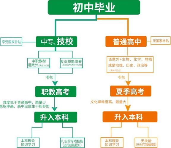 初中毕业生理想的选择(醫學美容五年專業)