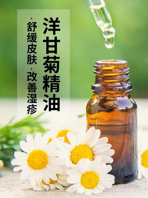 护肤界“神花”——洋甘菊的功效和作用(洋甘菊功效護膚)