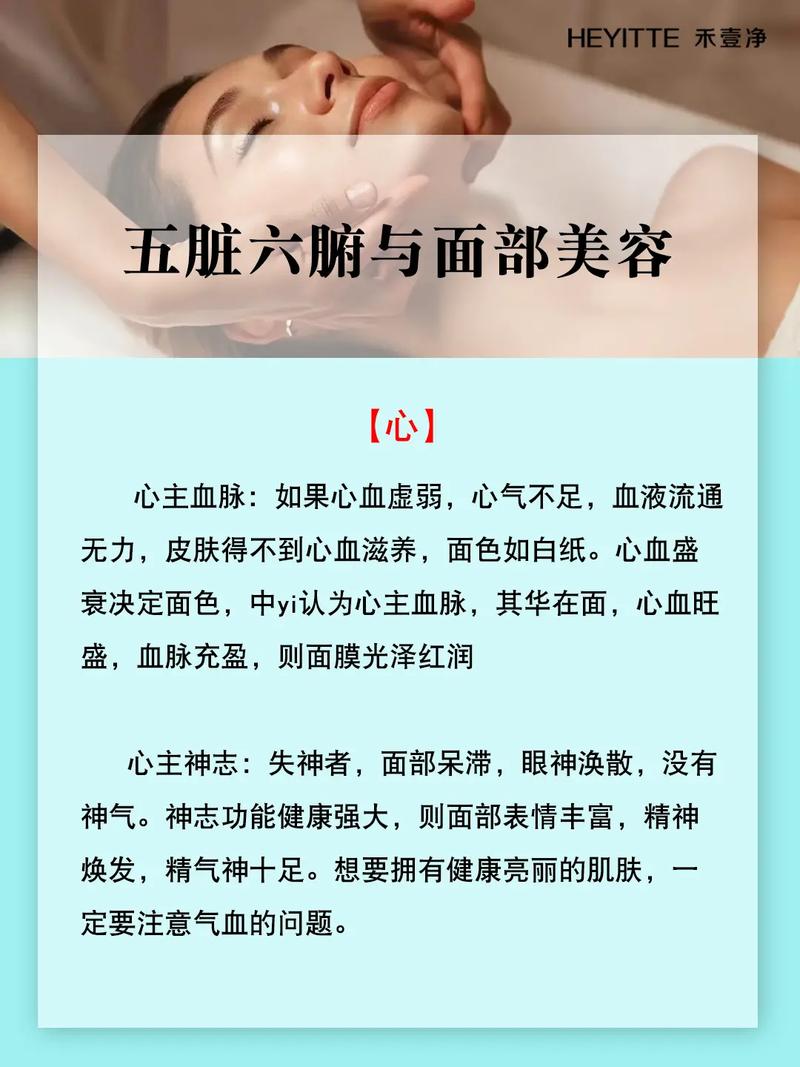 五脏与美容的关系(枯槁頭發開竅)