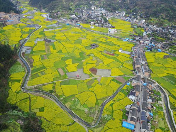 南明区全力推进现代城市特色小镇富美乡村建设(生態建設特色)