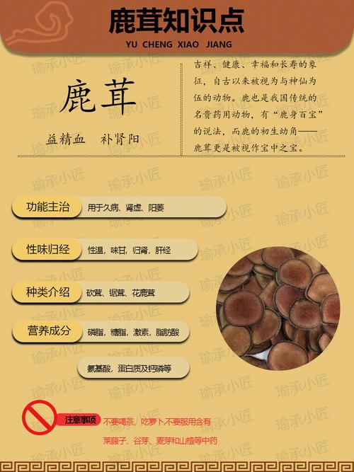 鹿茸能提亮抗衰？衰老肌的逆袭救星来了！(鹿茸肌膚修護)