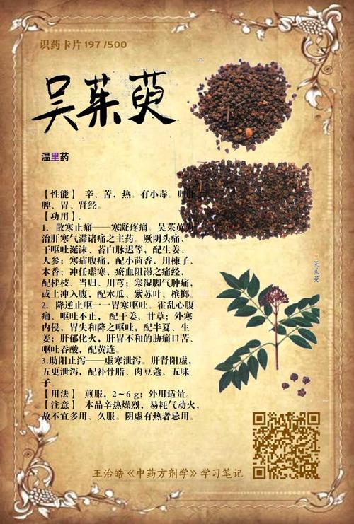 中药美容之山茱萸的美容功效及方法(山茱萸美容功效)