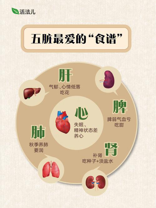 健康人群必看：饮食美容与人体五脏的关系！(食物人體必看)