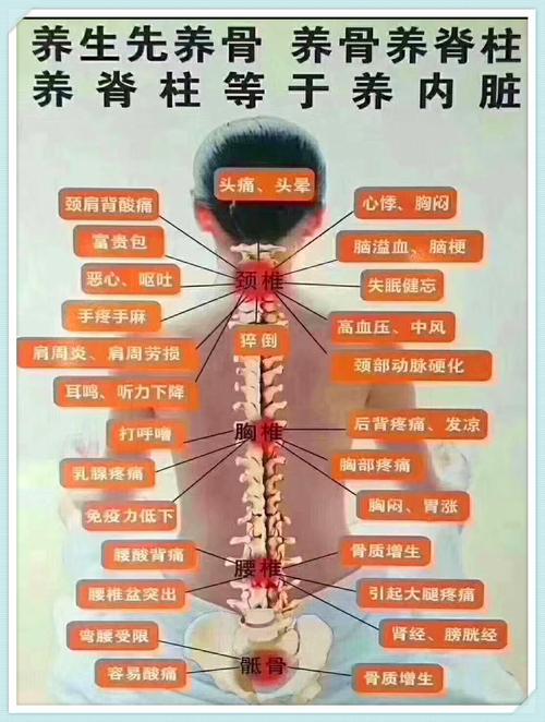 你知道做脊柱保养就能延缓衰老吗？(脊椎脊柱按摩)