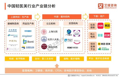 2024年中国医美产业链图谱研究分析（附产业链全景图）(產業鏈國醫研究院)