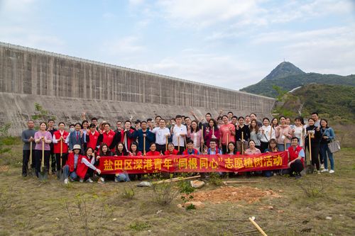 庆回归 共植同心林 石岩街道举办深港青少年研学交流活动(深港青少年同心)