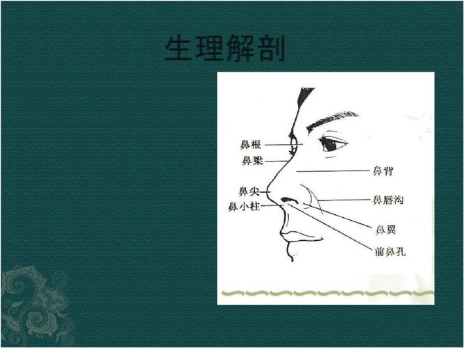 鼻整形的美学与生理学：解密手术背后的通气科学(通氣整形生理學)