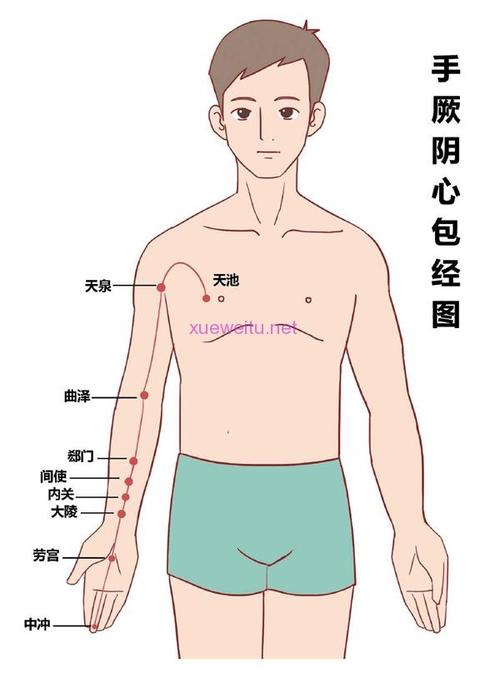 短视频创业(魚際經絡心包)