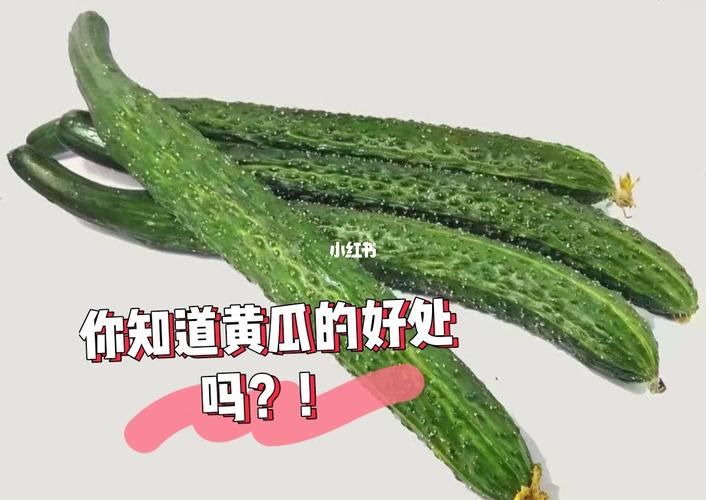 夏吃瓜_怎能少了它？补水消暑的“一把好手”_热量超低(黃瓜水分補水)