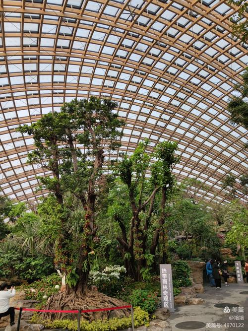 探访太原植物园_感受自然之美(植物園感受之美)