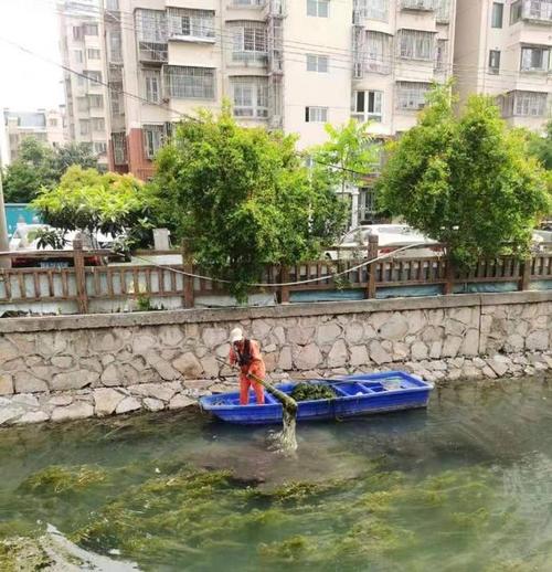 五一我在岗|杨杰：护城河上的“水面美容师”(打撈工作河道)