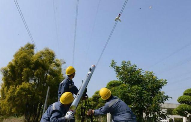 国网泌阳县供电公司：激光“神器”消除线路隐患(供電線路激光)