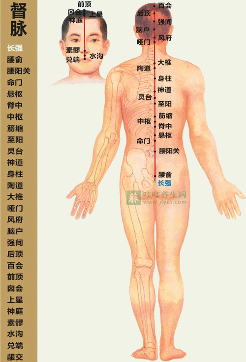 打通“任督二脉”一秒变武林高手？“督脉灸”来了解一下(督脈穴位治療)