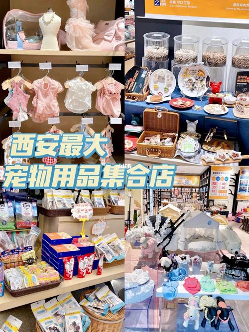 逗猫遛狗 让我投身宠物用品行业——访营口佳缘宠物用品有限公司创始人周振(寵物主糧用品有限公司)