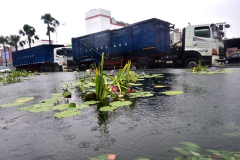 特报 | 汽修美容店重金属废水直排雨水池_有没有人管？(廢水洗車污水)