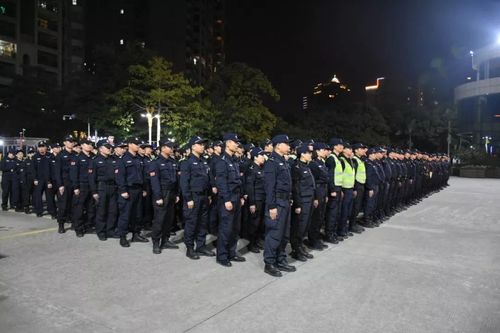 肥东警方吹响集结号！这项统一清查行动取得丰硕战果~(肥東清查戰果)