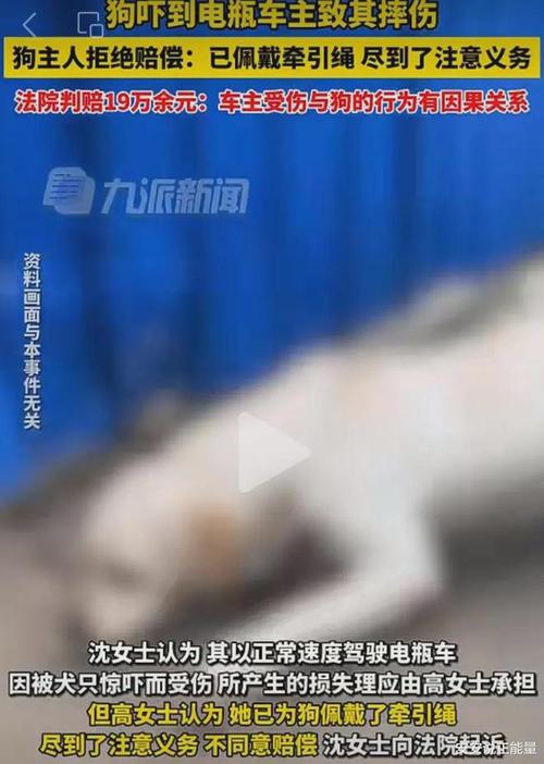 骑车人被狗撞倒骨折_狗主人被法院判赔3万9！(遛狗法院王某)