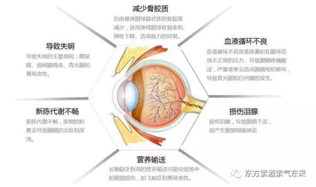 视力不行_车祸还行？眼睛不太好_吃这些食物改善你的视力(視力食物花青素)