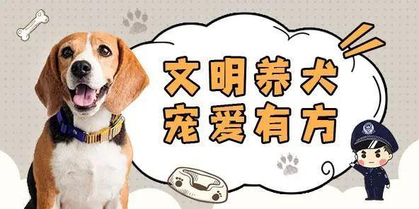 西藏拉萨登记宠物犬2.35万只(養犬中國新聞網登記)