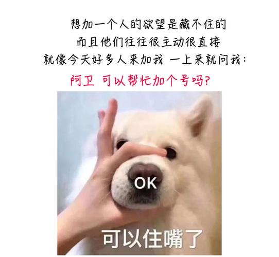 高考首日_深圳这家口腔医院笑着解出了最后“大题”：看牙难(口腔醫院高考出瞭)