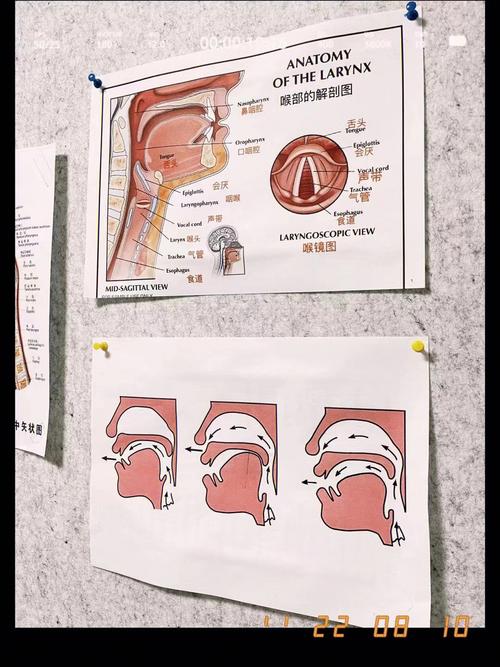 一个值得关注的领域——声音美容∕嗓音保健∕魅力声音训练(聲音嗓音美容)