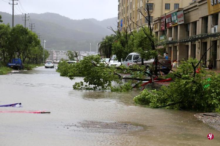 迎战台风“利奇马”| 虹口区：树干倾倒压塌景观亭_嘉兴路街道紧急排险(街道新民晚報樹幹)