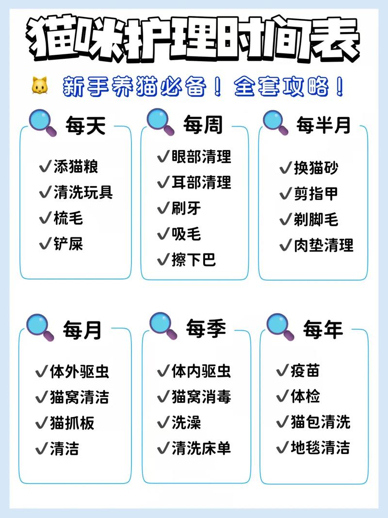 今天你给猫做护理了吗？定期美容竟有如此多的好处_你知道吗？(您的你知道定期)