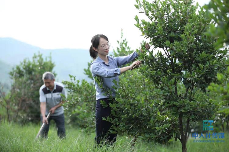 “湖湘青年英才”王文姣和她的“茶油之恋”(油茶茶油外公)