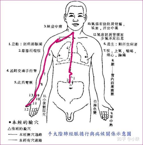 白蔻“入手太阴肺经_别有清高之气”(太陰之氣濕氣)