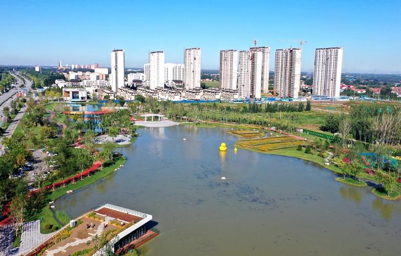 河北省文安县倾力打造京津雄后花园助力高质量发展(文安造林發展)