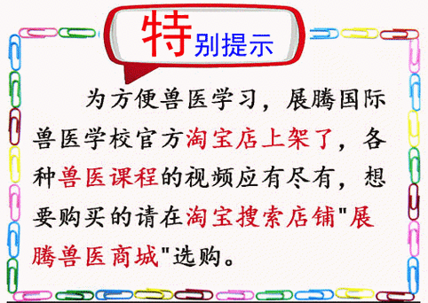 宠资链入驻新动态 | 宠业各品类厂商蜂拥入驻、百花齐放(寵物品類入駐)