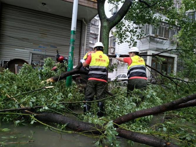 “黑格比”过境会打乱城市节奏？NO！普陀这项日常工作定时定点_风雨无阻→(垃圾定點定時)