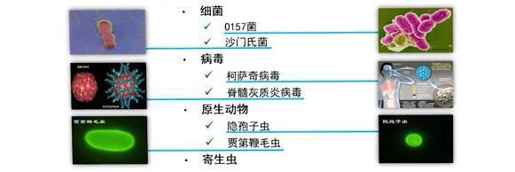 病原微生物实验室分类_P1-P4_注意事项和区别(實驗實驗室滅菌)