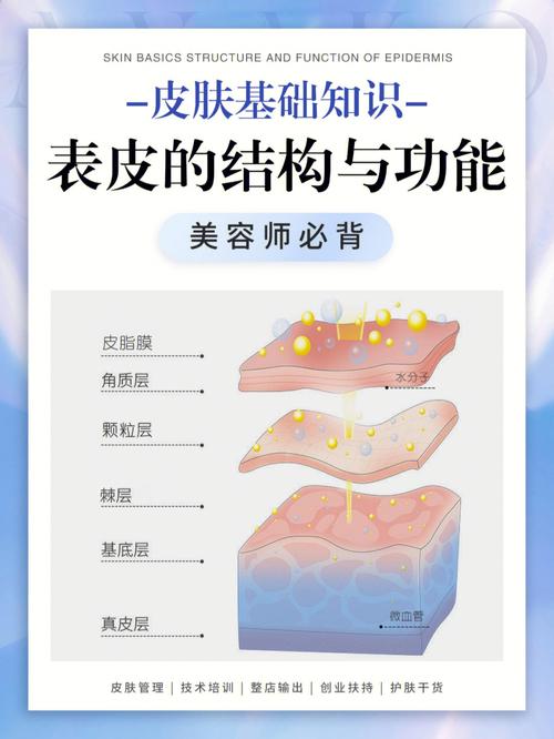 七大管理体系_告诉你皮肤管理和传统美容院的区别(皮膚管理肌膚)