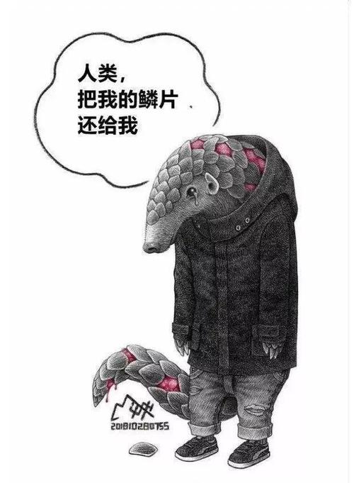 还在炫耀吃野味“坑爹”_为什么就是不长记性(野生動物野味還在)